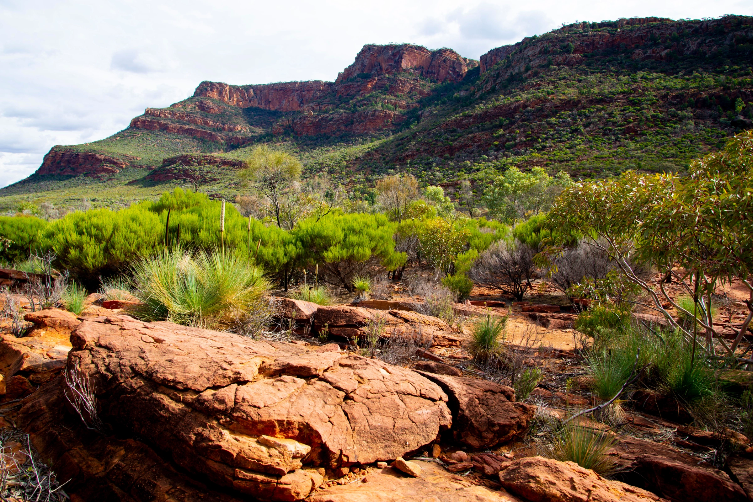 Arkaroola_Village,_Ikara-Flinders_Ranges_National_Park,_South_Australia[1].webp